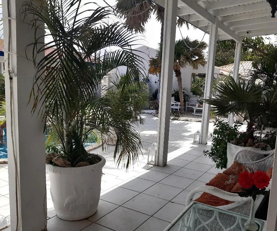 Harmony Boutique Apartments Oranjestad Hostal