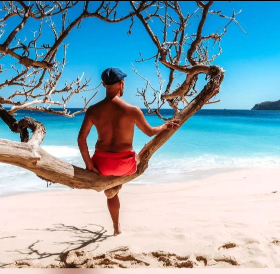 Harmony Boutique Apartments Oranjestad Hostal