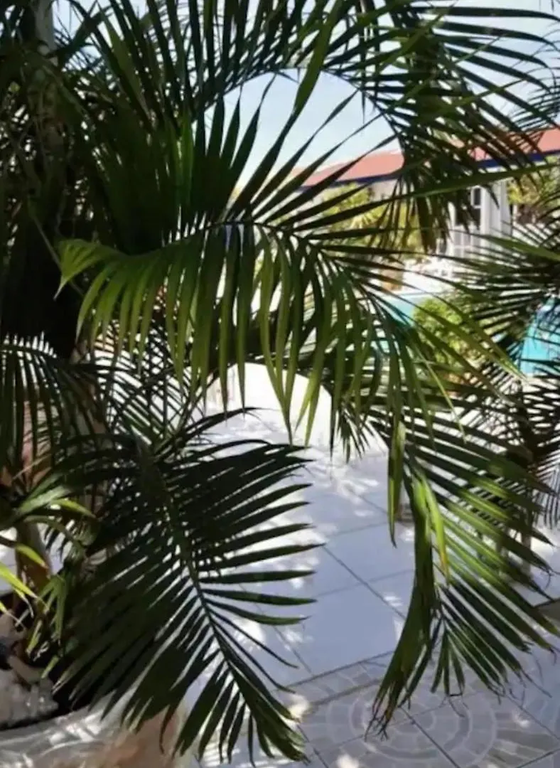 Harmony Boutique Apartments Oranjestad Hostel