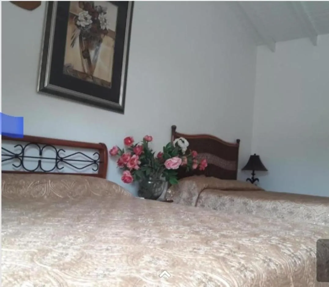 Harmony Boutique Apartments Oranjestad